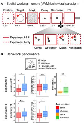 Neural Evidence for Different Types of Position Coding Strategies in Spatial Working Memory